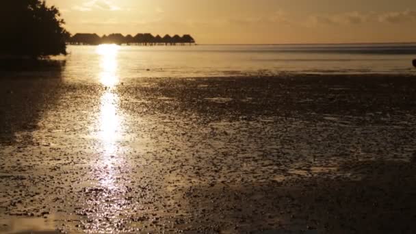 Imágenes Escénicas Laguna Costera Bora Bora Atardecer — Vídeo de stock