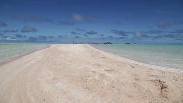 Piękny Różowy Piasek Przejrzysty Ocean Wybrzeżu Rangiroa Polinezja — Wideo stockowe