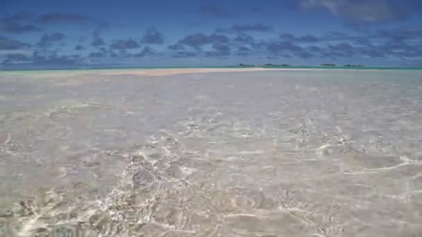 ポリネシア ランギロアの海岸線で美しいピンクの砂と透明な海 — ストック動画