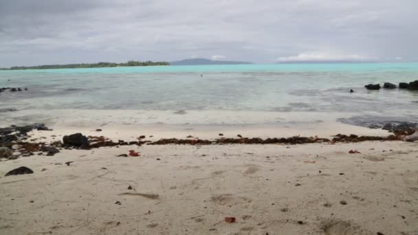 Szenische Aufnahmen Der Lagune Der Küste Bora Bora — Stockvideo