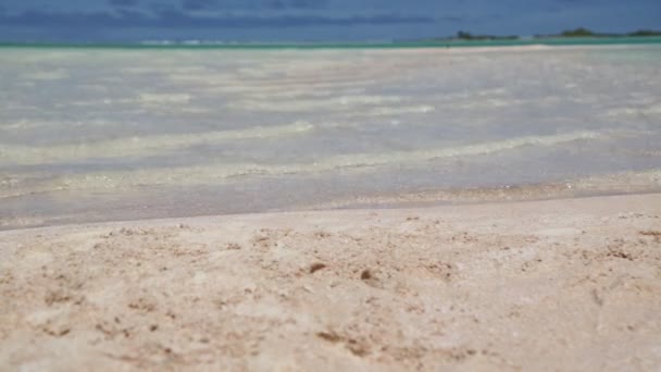 Bela Areia Rosa Oceano Transparente Costa Rangiroa Polinésia — Vídeo de Stock