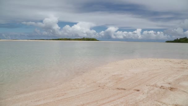 Beau Sable Rose Océan Transparent Côte Rangiroa Polynésie — Video