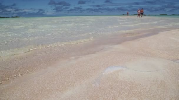 Szenische Aufnahmen Von Menschen Die Zeit Schönen Sandstrand Verbringen — Stockvideo