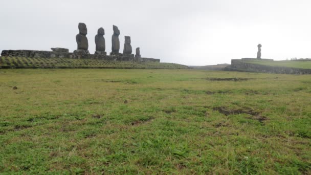 Moai Monolityczne Postacie Ludzkie Rzeźbione Przez Ludzi Rapa Nui Wyspie — Wideo stockowe