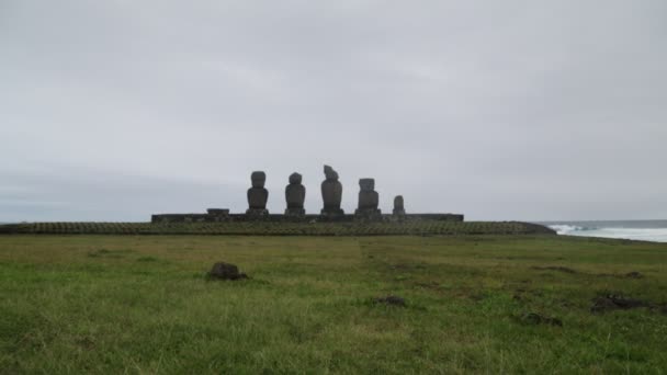 Moai Μονολιθικά Ανθρώπινα Πρόσωπα Σκαλισμένα Από Τους Ανθρώπους Της Rapa — Αρχείο Βίντεο