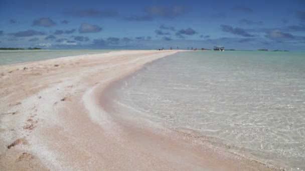 ポリネシア ランギロアの海岸線で美しいピンクの砂と透明な海 — ストック動画