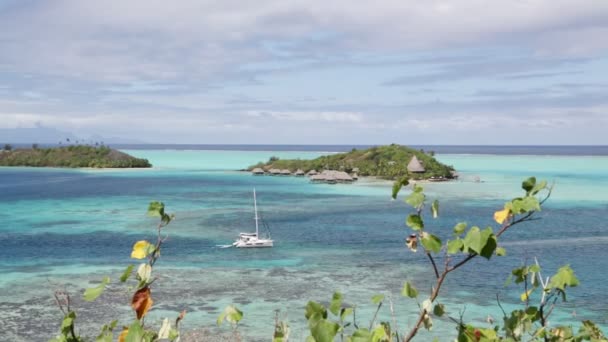 Bora Bora Sahil Şeridi Lagün Doğal Görüntüleri — Stok video