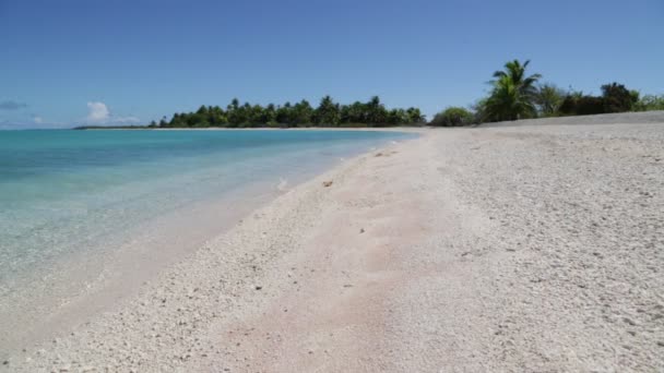 ポリネシア ランギロアの海岸線で美しいピンクの砂と透明な海 — ストック動画