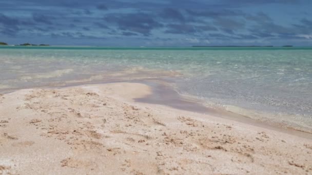 Wunderschöner Rosa Sand Und Transparenter Ozean Der Küste Rangiroa Polynesien — Stockvideo