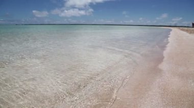 güzel kumlu plajda zaman geçiren insanların manzara görüntüleri