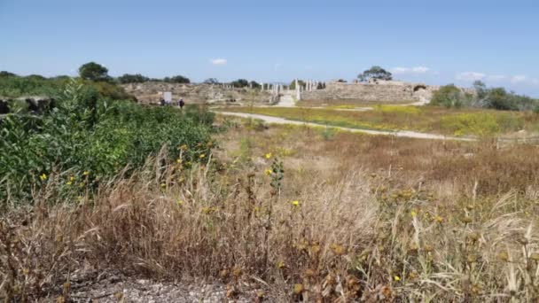 Ürdün Antik Ruins Yakınındaki Yürüyen Turist — Stok video