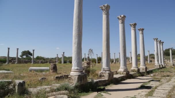 Turister Promenader Nära Antika Ruinerna Jordanien — Stockvideo