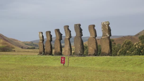 Moai Figuras Humanas Monolíticas Esculpidas Pelo Povo Rapa Nui Ilha — Vídeo de Stock