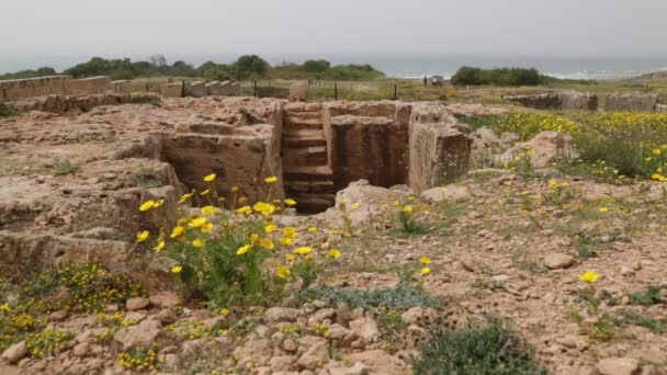 Schöne Antike Ruinen Paphos Zypern — Stockvideo