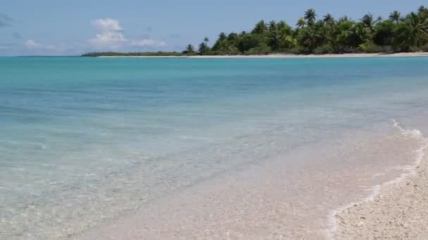 Rangiroa Kıyı Şeridinde Güzel Pembe Kum Şeffaf Okyanus Polinezya — Stok video