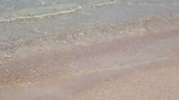 美丽的粉红色沙和透明的海洋在海岸线在兰吉罗亚 多尼西亚 — 图库视频影像