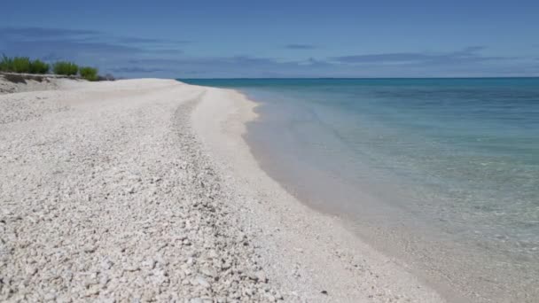 Piękny Różowy Piasek Przejrzysty Ocean Wybrzeżu Rangiroa Polinezja — Wideo stockowe