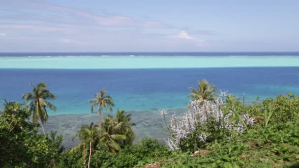 Vyhlídkové Záběry Pobřežní Laguny Ostrova Bora Bora — Stock video