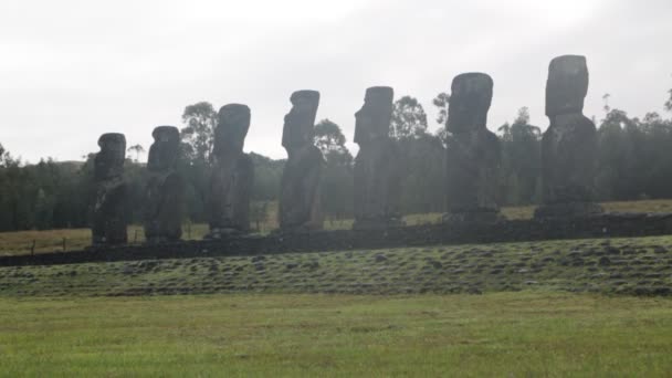 Moai Μονολιθικά Ανθρώπινα Πρόσωπα Σκαλισμένα Από Τους Ανθρώπους Της Rapa — Αρχείο Βίντεο