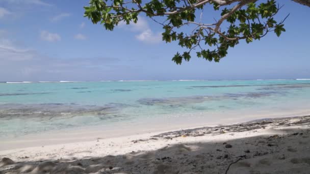 séquences panoramiques dans le lagon du littoral à bora bora 