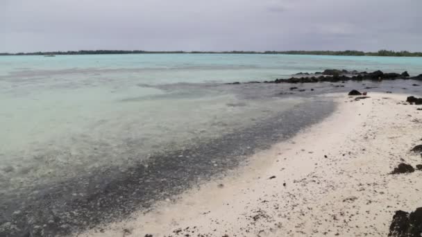 Bora Bora Sahil Şeridi Lagün Doğal Görüntüleri — Stok video