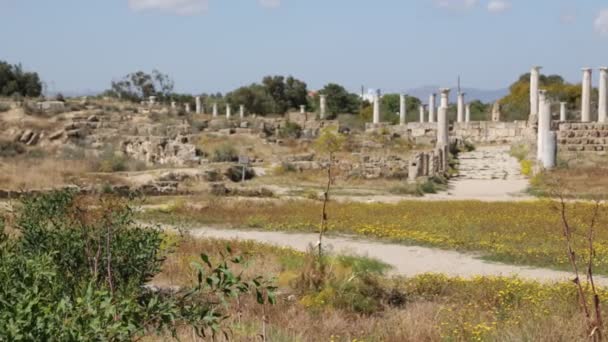 Ürdün Antik Ruins Yakınındaki Yürüyen Turist — Stok video