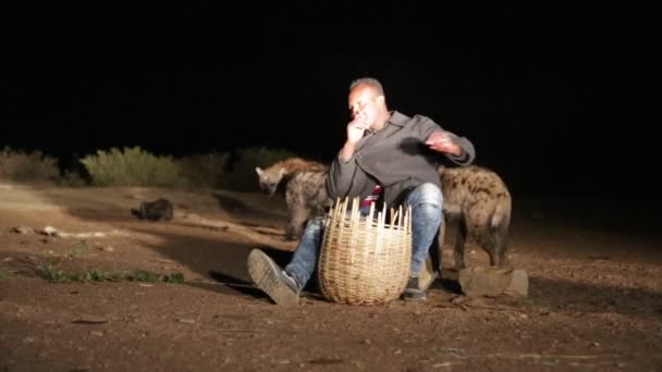 Oidentifierade Turist Utfodring Hyenan Natt Öknen — Stockvideo