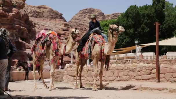 Mensen Kamelen Buurt Van Petra Jordanië — Stockvideo