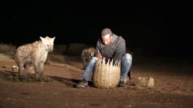 kimliği belirsiz turist gece çölde sırtlan besleme