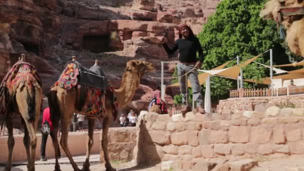 Personnes Sur Des Chameaux Près Petra Jordan — Video