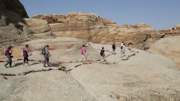 Folk Som Går Nær Antikt Sted Petra Jordan – stockvideo