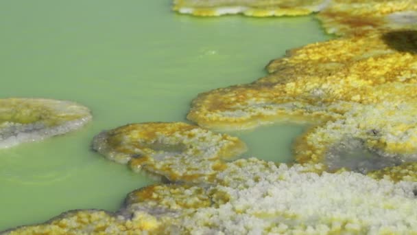 Gros Plan Étang Rempli Soufre Vert Dépression Volcanique Dallol Éthiopie — Video