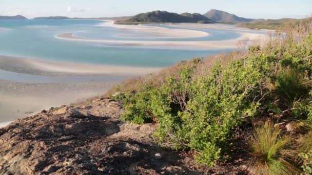 Vista Alto Ângulo Oceano Praia Austrália — Vídeo de Stock