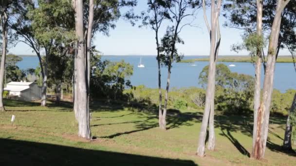 Australien Hervey Bay Båten Havet Och Naturen — Stockvideo