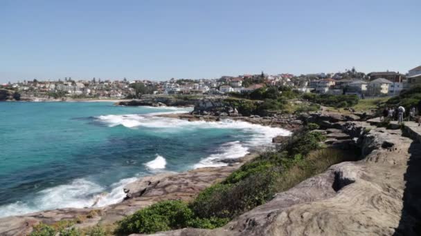 Touristen Ruhen Sich Strand Aus Und Surfen Auf Dem Ozean — Stockvideo