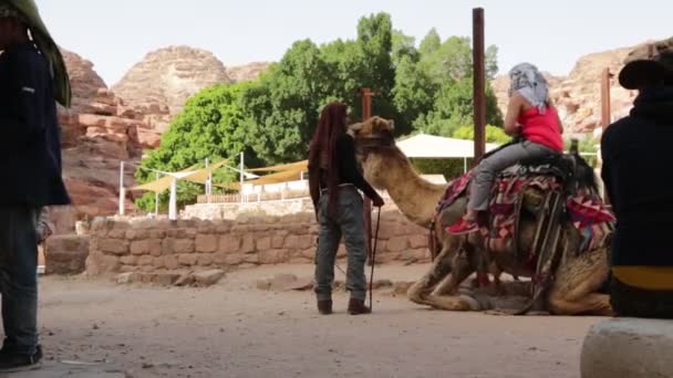 Pessoas Camelos Perto Petra Jordânia — Vídeo de Stock