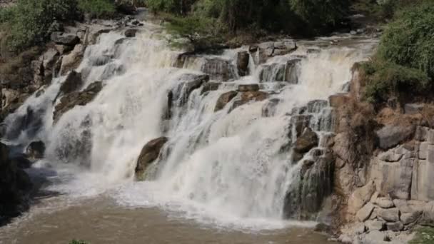 Inondare Parco Nazionale Cade Nella Natura Selvaggia Etiopia Africa — Video Stock