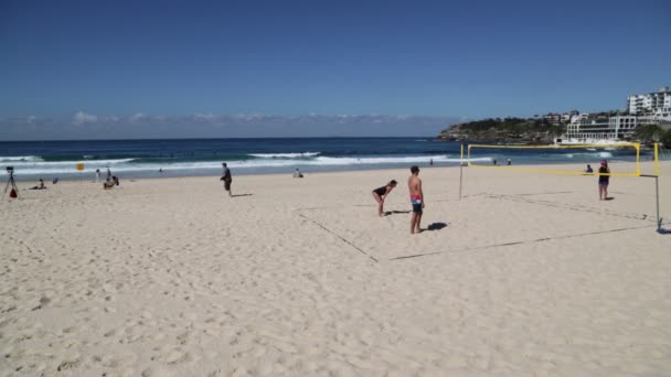 砂浜でバレーボールをしている人 — ストック動画