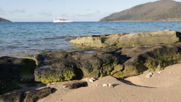 Catamarã Oceano Perto Praia Austrália — Vídeo de Stock