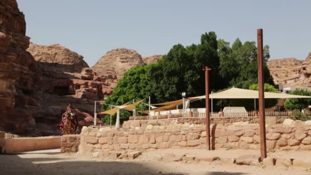 Menschen Auf Kamelen Der Nähe Von Petra Jordanien — Stockvideo