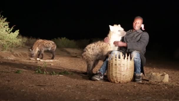 Turista Non Identificato Che Alimenta Iena Nella Notte — Video Stock