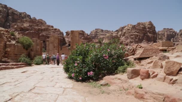 Mensen Lopen Buurt Van Antieke Kolommen Van Petra Jordanië — Stockvideo