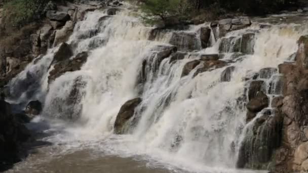 Suda Yüzen Milli Parkı Vahşi Doğa Etiyopya Afrika Falls — Stok video
