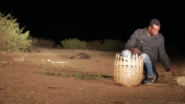 Turista Identificado Alimentando Hiena Desierto Nocturno — Vídeos de Stock
