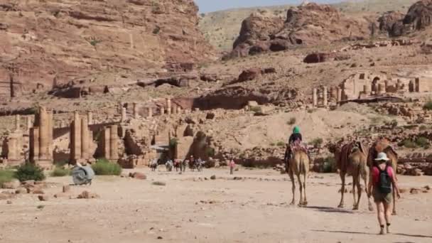 사막에서 불명된 사람들의 — 비디오