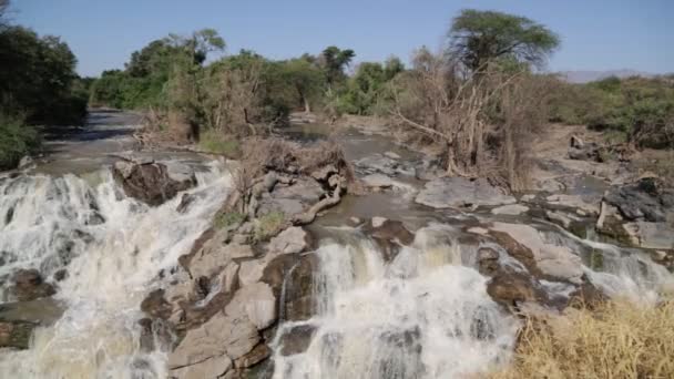 Inondare Parco Nazionale Cade Nella Natura Selvaggia Etiopia Africa — Video Stock