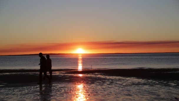 Západ Slunce Pláži Krásný Výhled Jezero Moře — Stock video