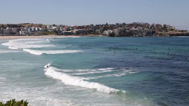 観光客がビーチで休んで オーストラリアの海でサーフィン — ストック動画
