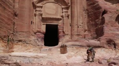 eşek ayakta yakınındaki antik sitesi Petra Ürdün