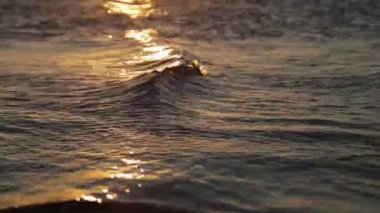 Avustralya'da kavramı relax altın güneş deniz refleks